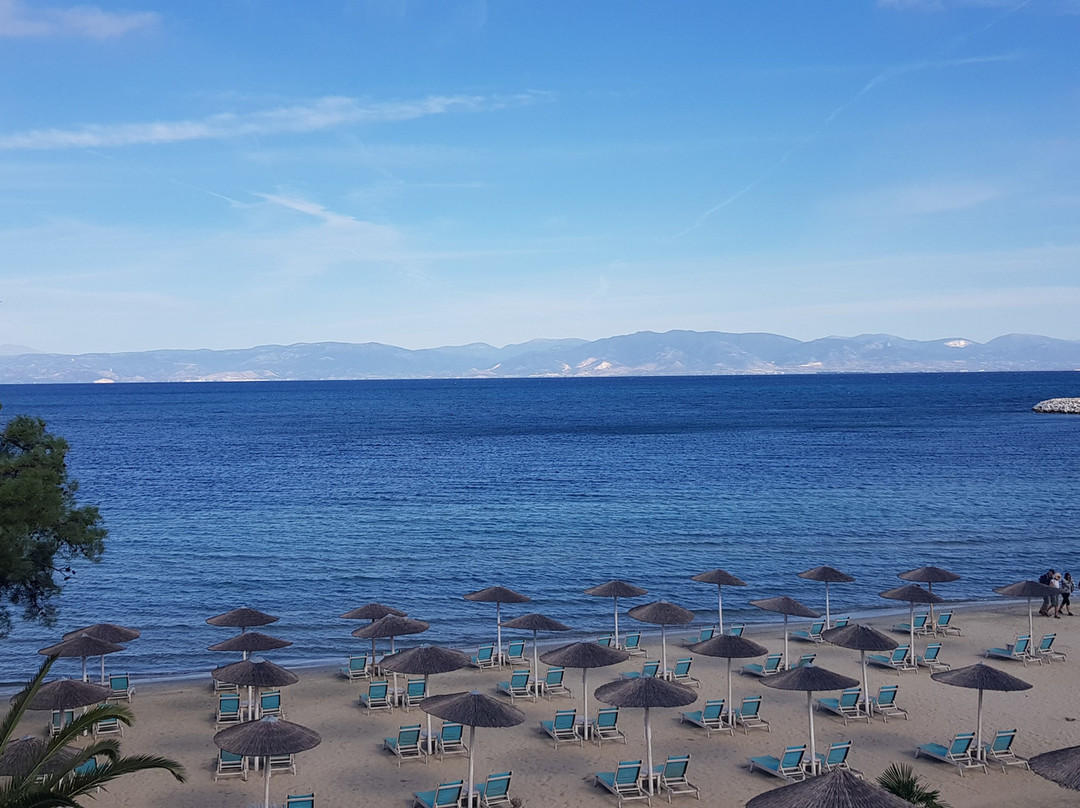 Hotel Mediterranean主图