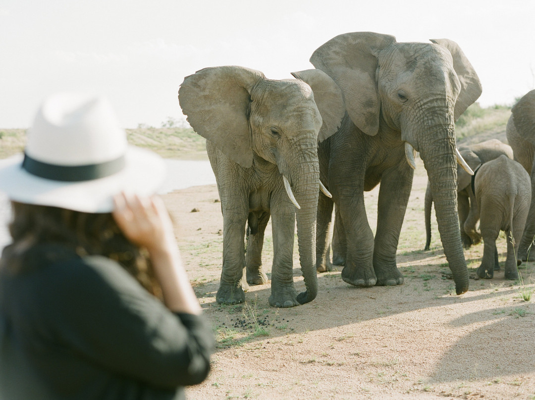 Adventures with Elephants景点图片