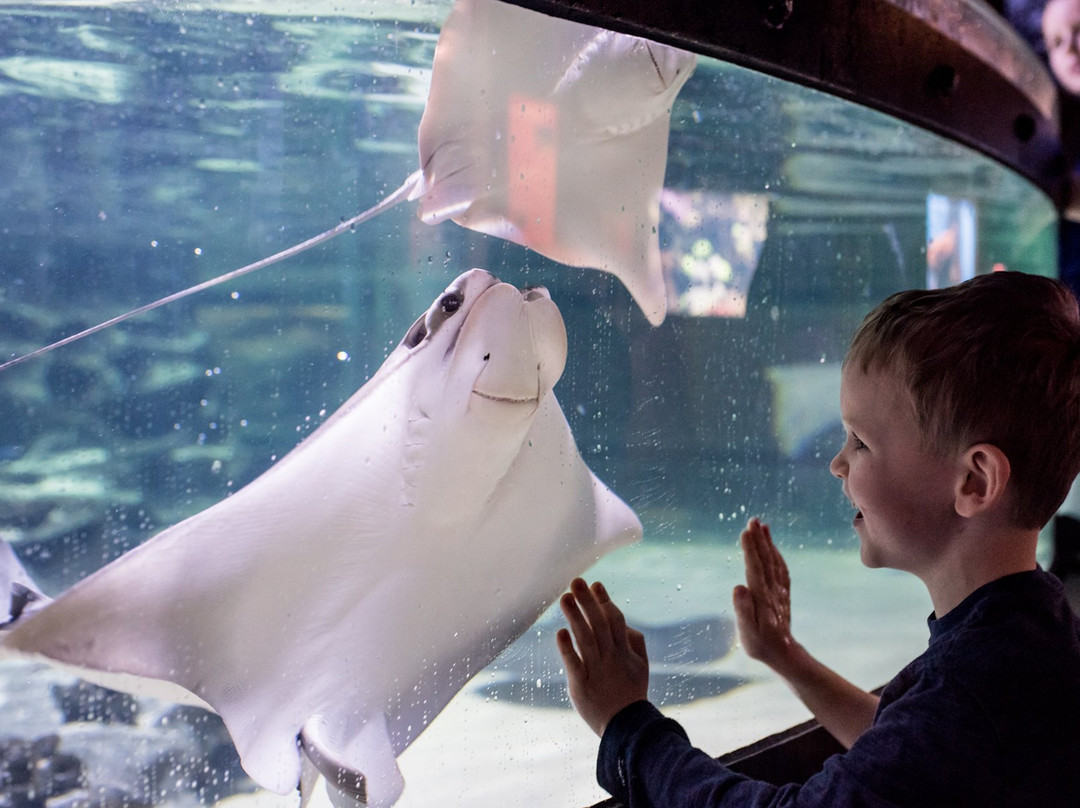 Greater Cleveland Aquarium