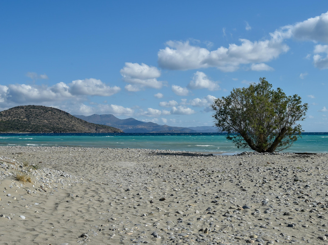 Agios Panteleimonas Beach景点图片