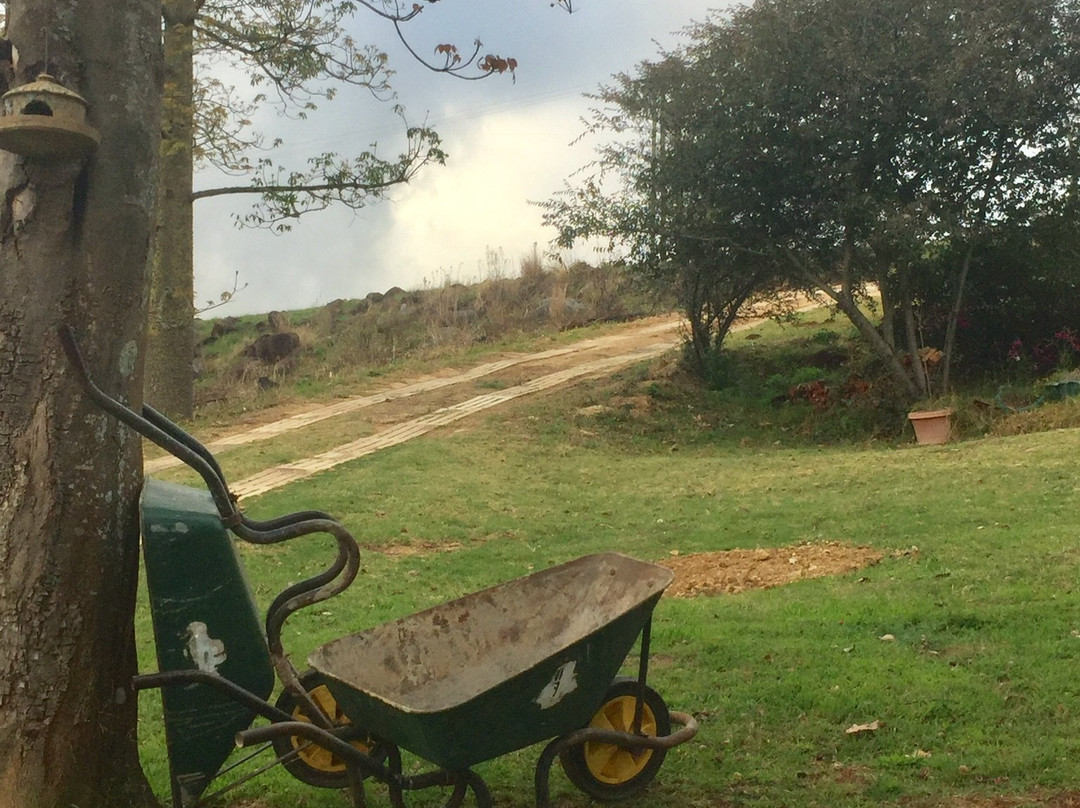 Notting Hill Lodge主图