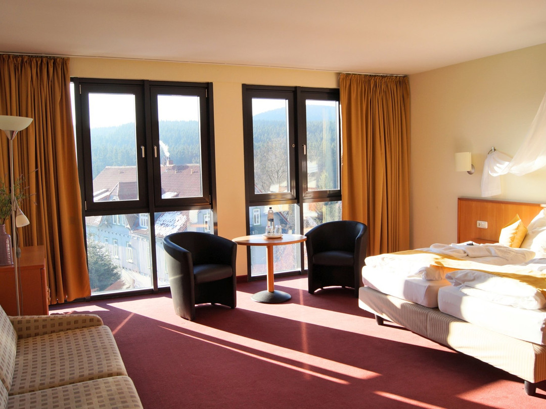 Regiohotel Am Brocken Schierke主图