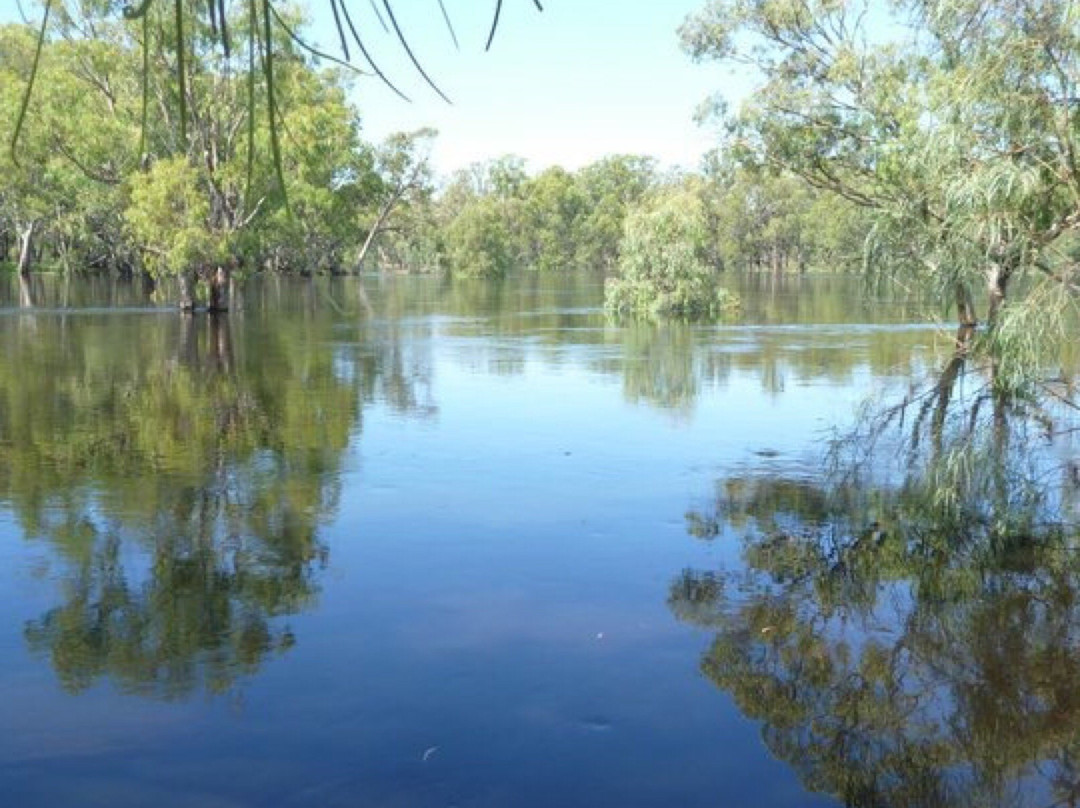 Murrumbidgee Junction