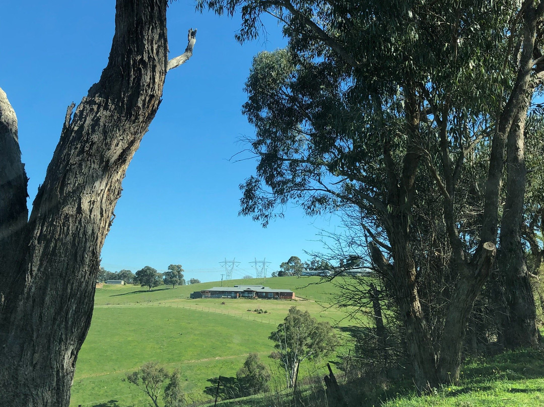 Maroondah Aqueduct-Kangaroo Ground必去景点