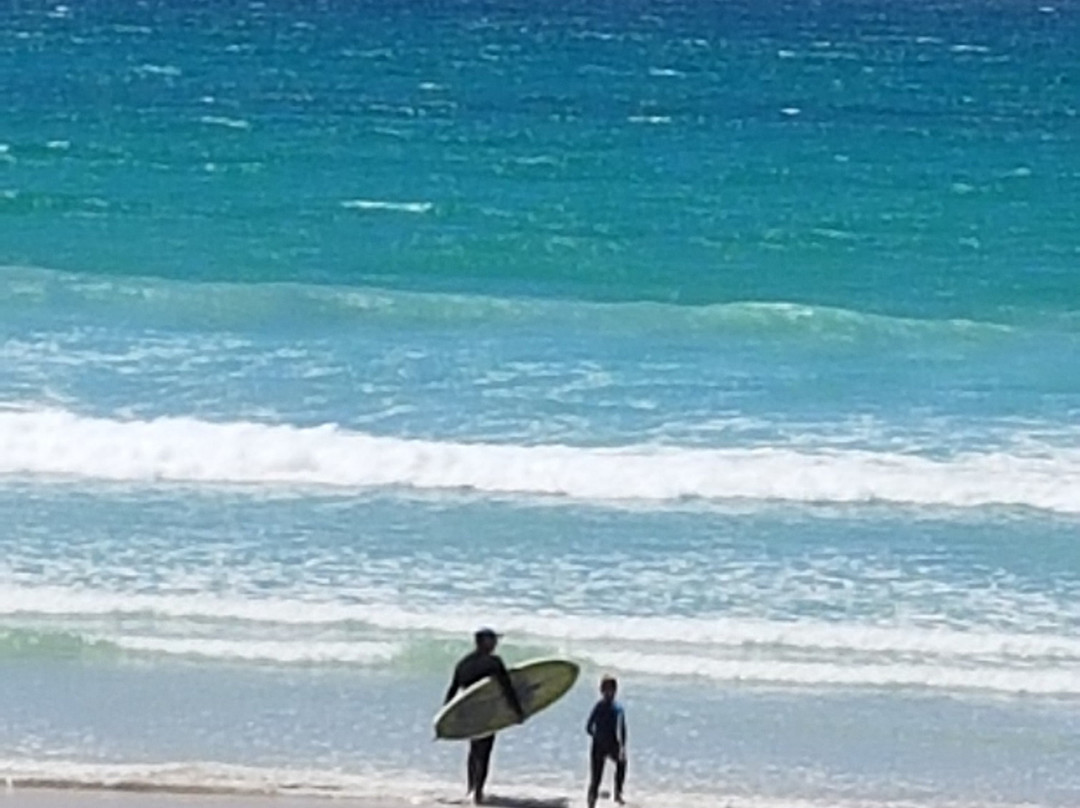 Robbie's Surfing Lessons-Struisbaai必去景点