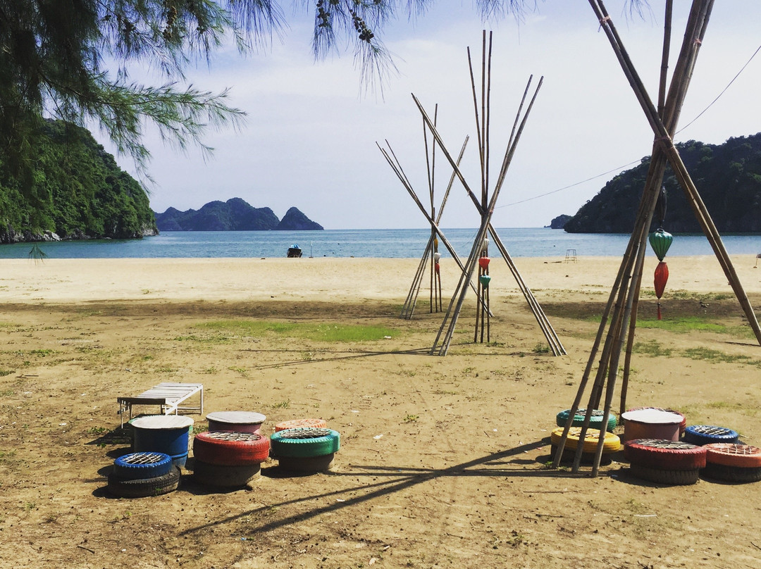 Hair Of The Dog Beach Club-卡巴必去景点