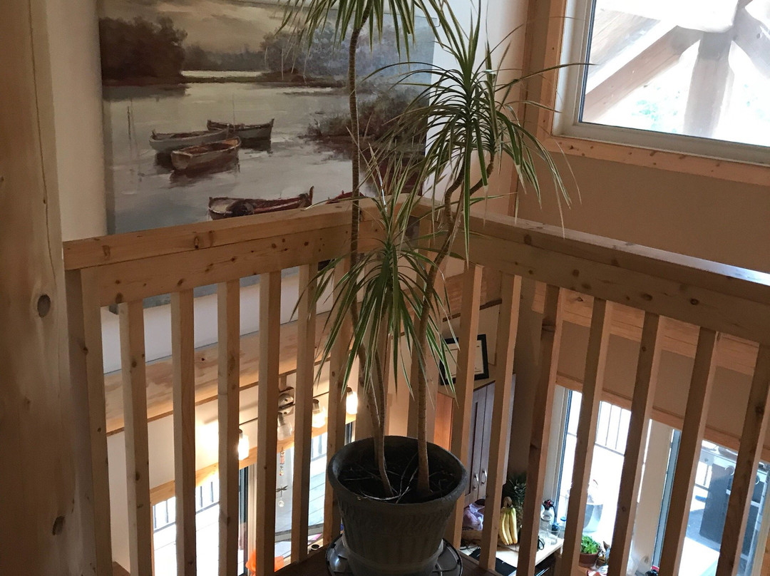 Nass Valley Bed & Breakfast主图