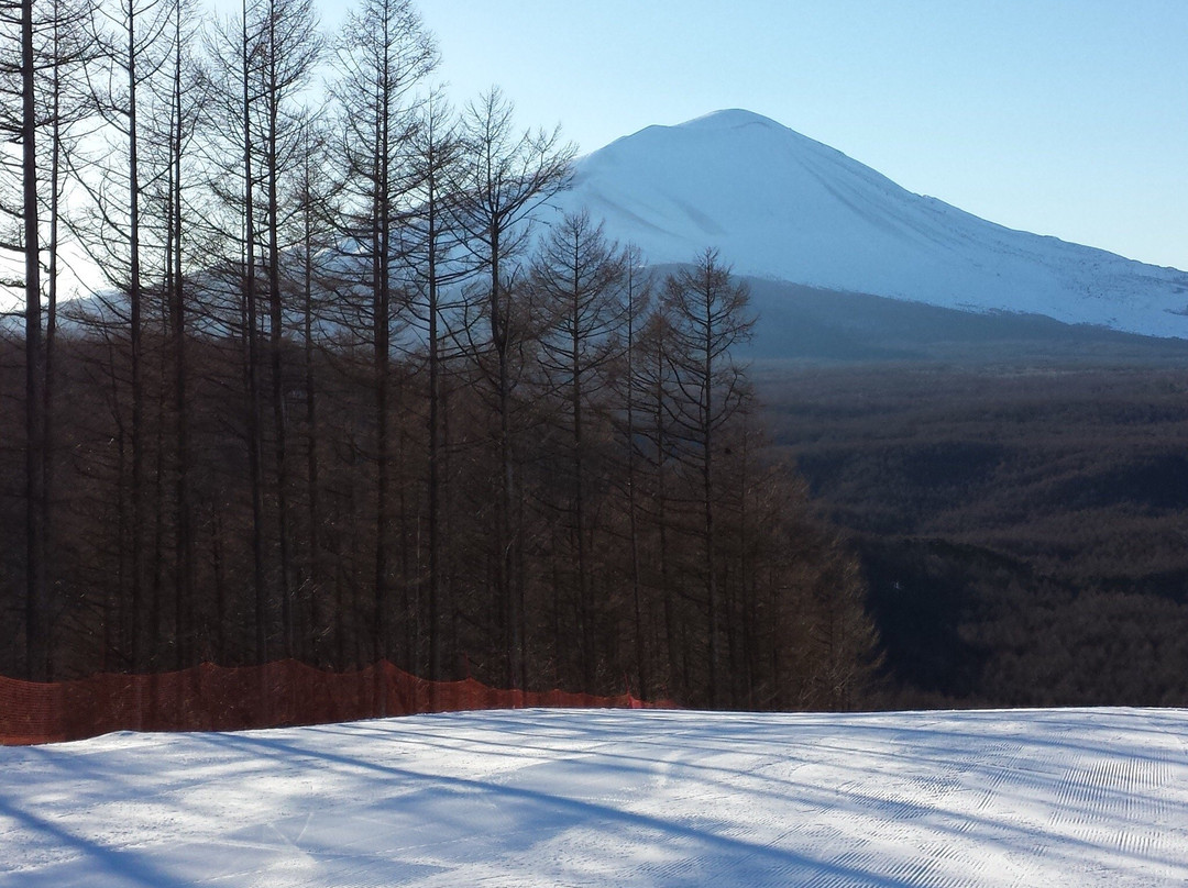 Karuizawa Snow Park景点图片