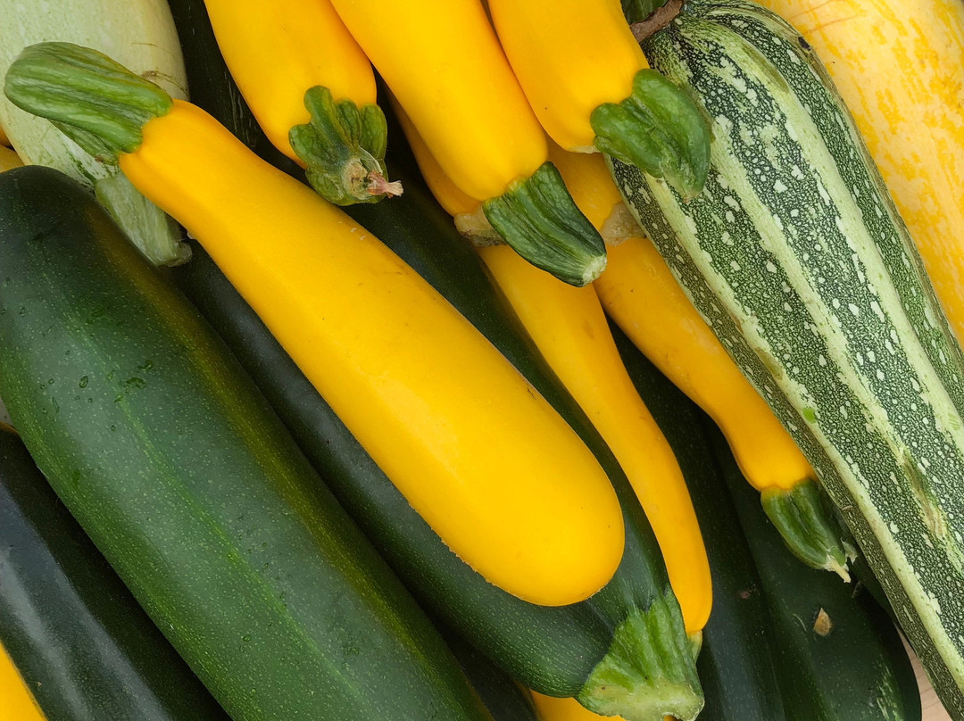 Orcas Island Farmers Market-Eastsound必去景点