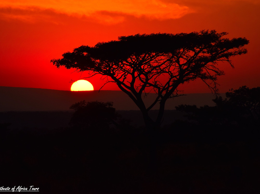 Heartbeats of Africa景点图片