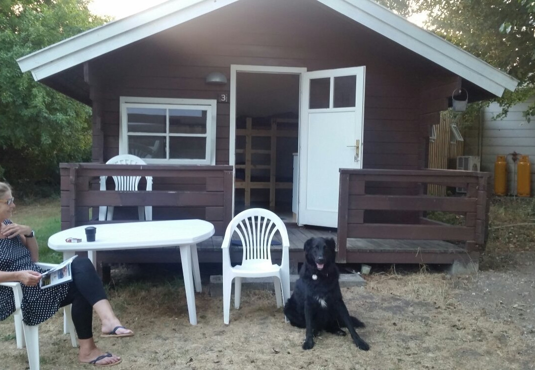 Lohals Camping