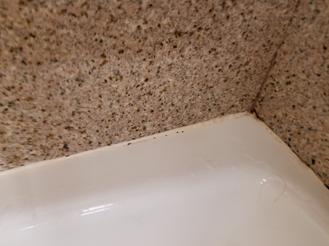 Holiday Inn Toledo-maumee (i-80/90) By IHG主图