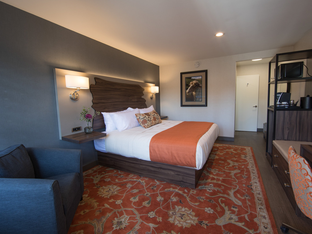 Vine Inn Davis主图