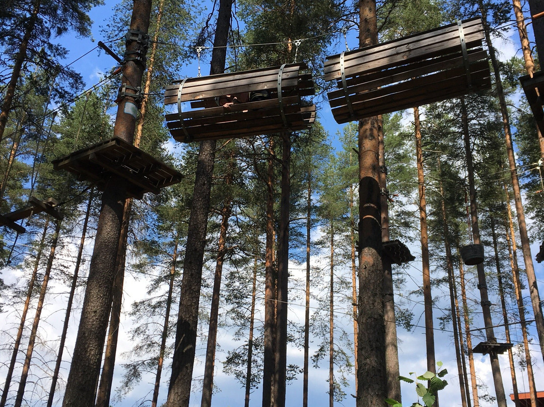 Treetop Adventure Park-Joensuu必去景点
