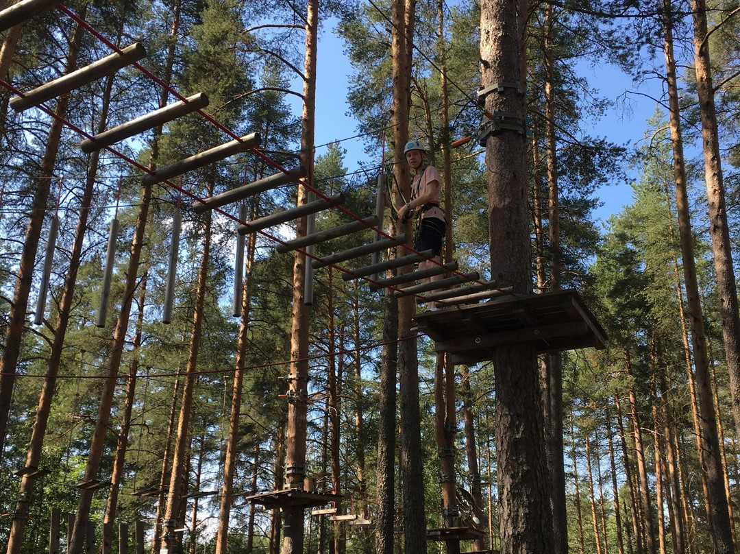 Treetop Adventure Park-Joensuu必去景点