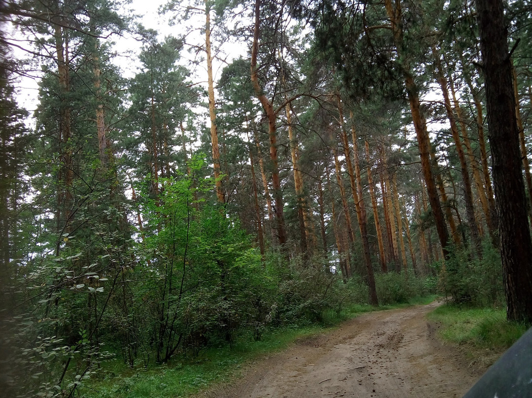 Lugavskoye旅游攻略图片