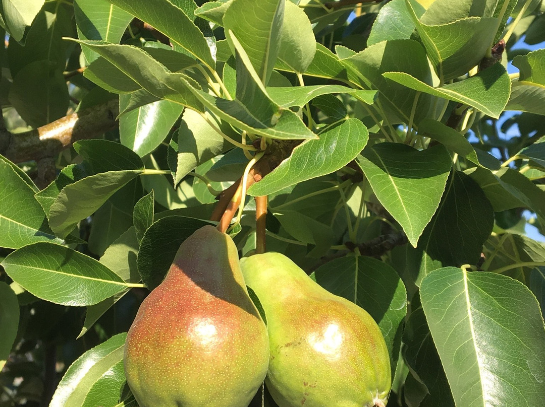 Above The Beach Guest Suites主图