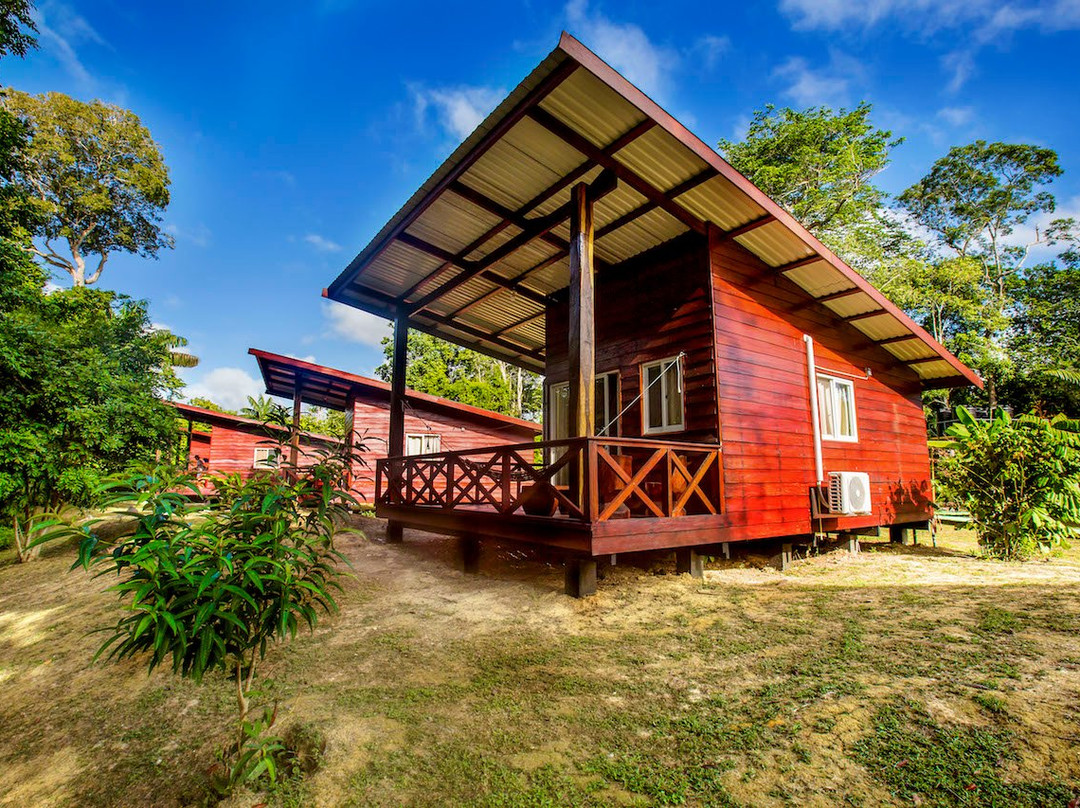 Knini Paati - Jungle & River Eco Resort主图