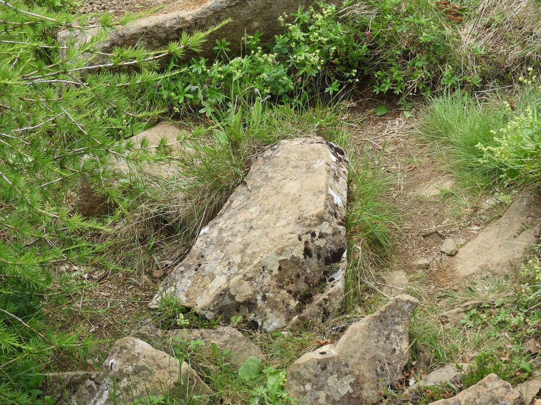 Sveinsstekksfoss-Djupivogur必去景点