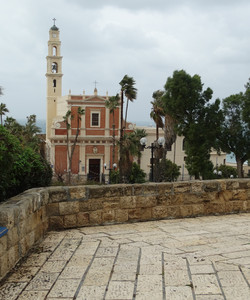 Suspended Orange Tree景点门票图片