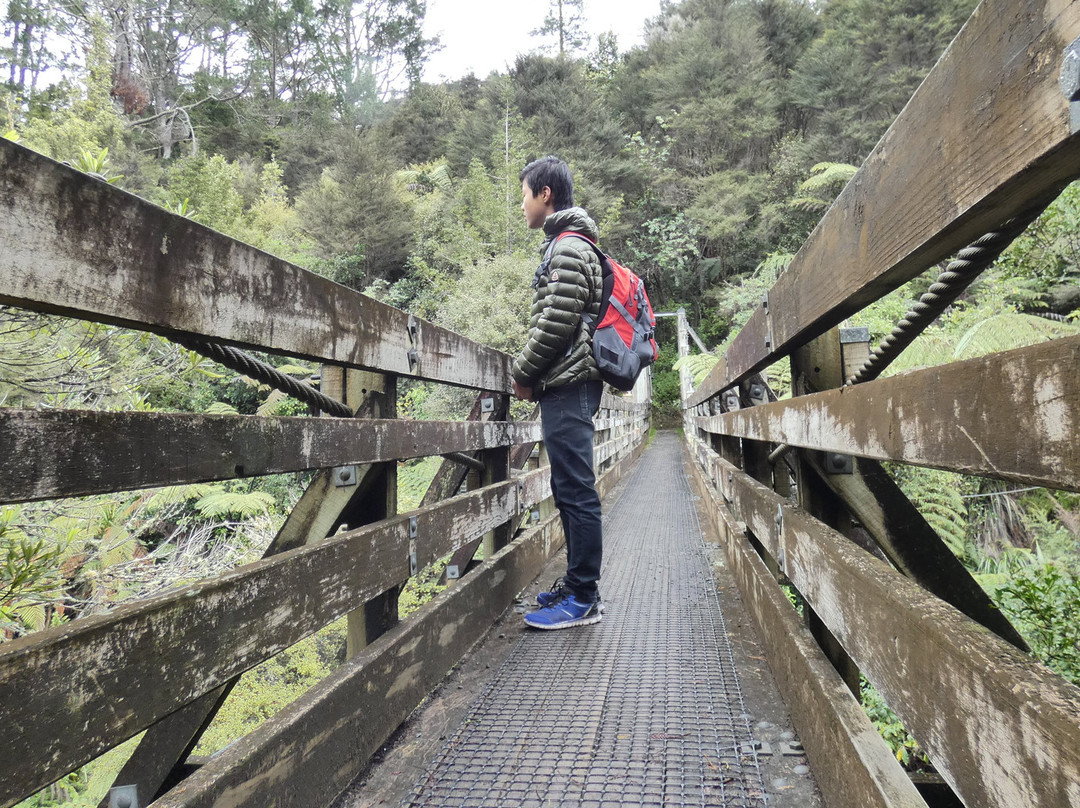 Upper Mangatawhiri Dam景点图片