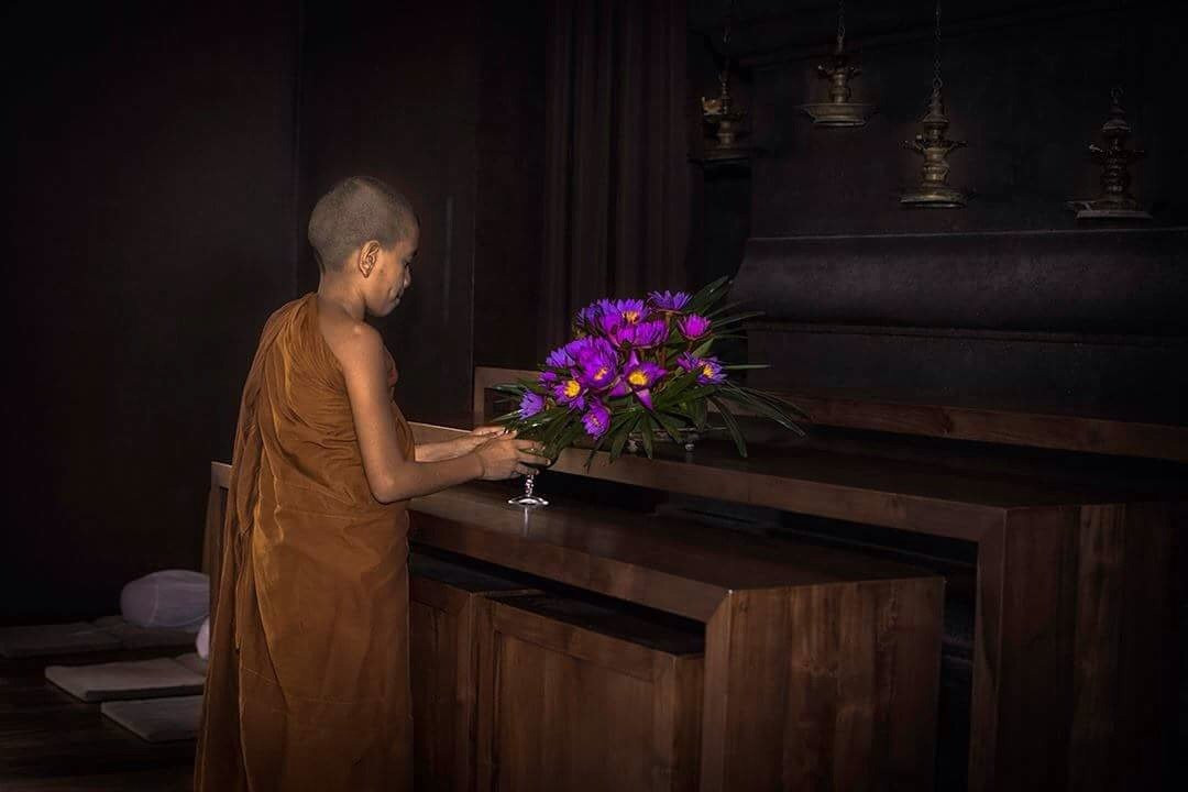 Dhamma Vihara Buddhist Center景点图片