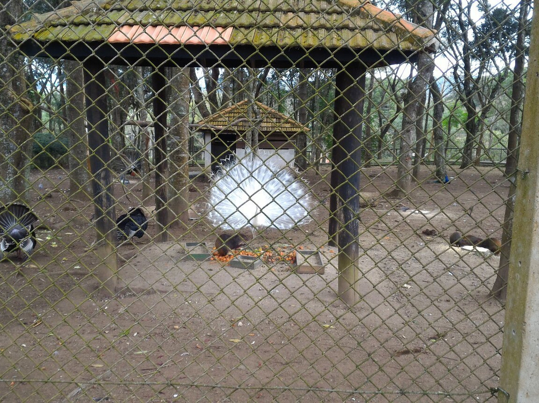 Zoológico Municipal de Curitiba景点图片