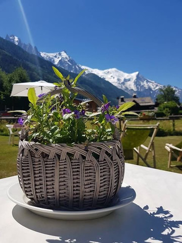 Hôtel La Prairie主图