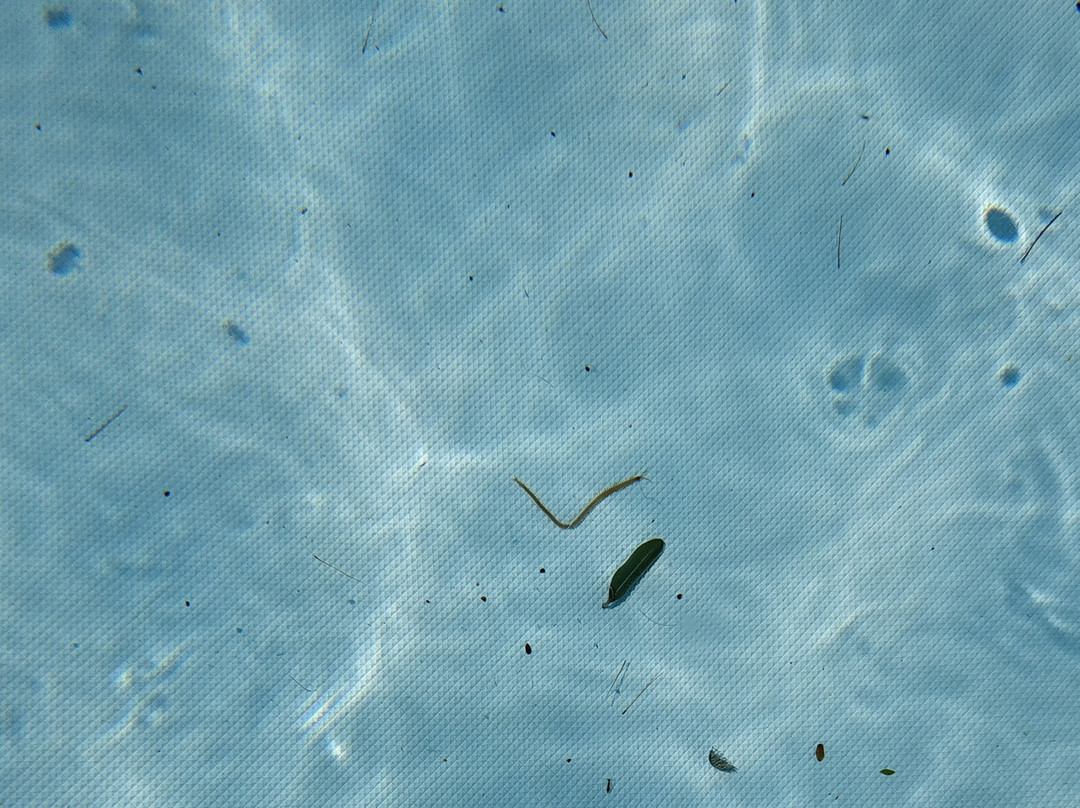 Le Ginestre Hotel Family & Wellness主图