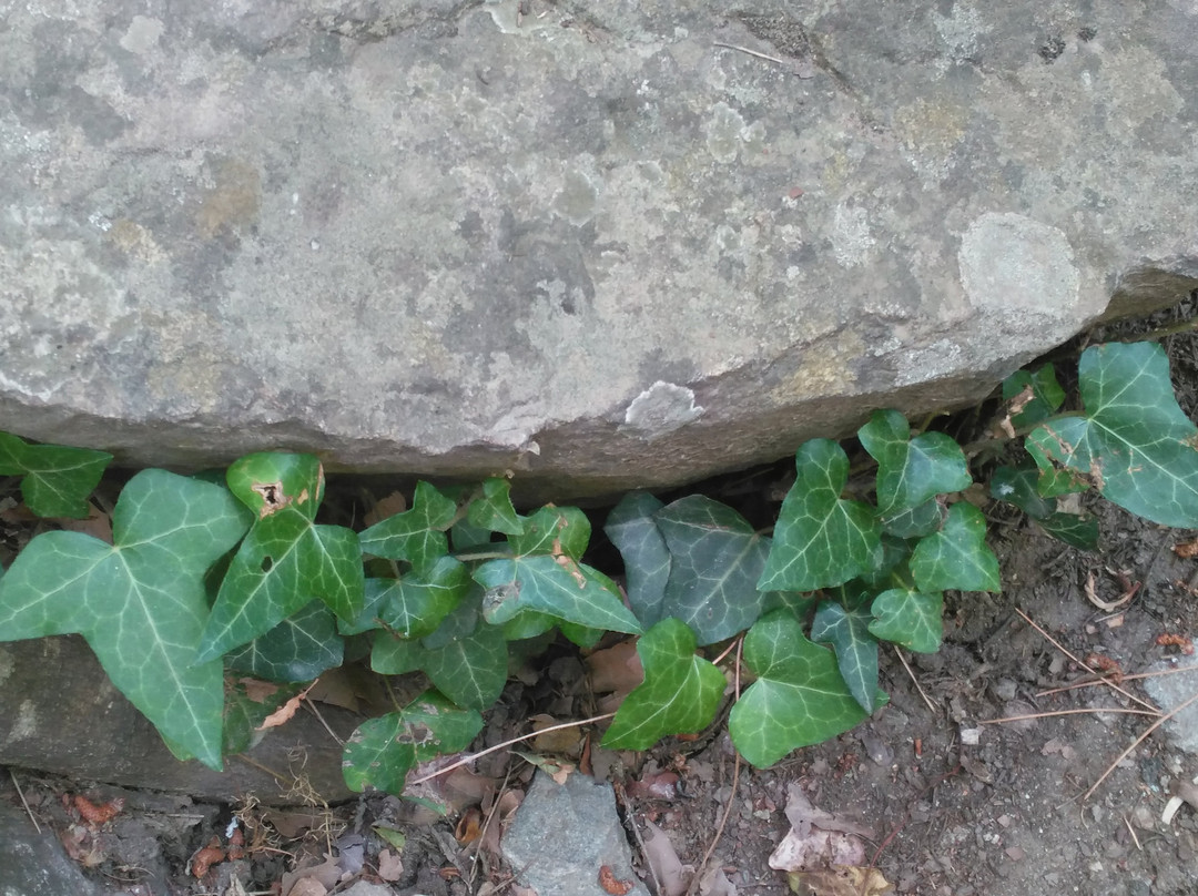 Mesir Tabiat Parki-Manisa必去景点