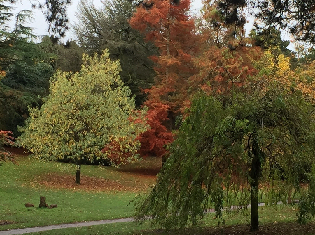 Calderstones Park景点图片