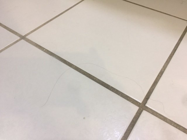 Quality Inn & Suites Pearl-Jackson主图