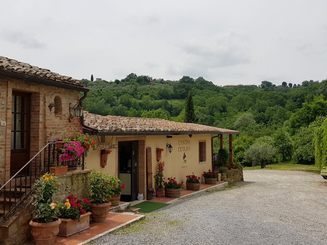 蒙特普尔恰诺餐馆和美食-Locanda Cicolina