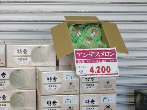 Sun Green Asahi-鉾田市必去景点