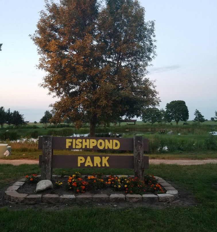Fish Pond Park景点图片