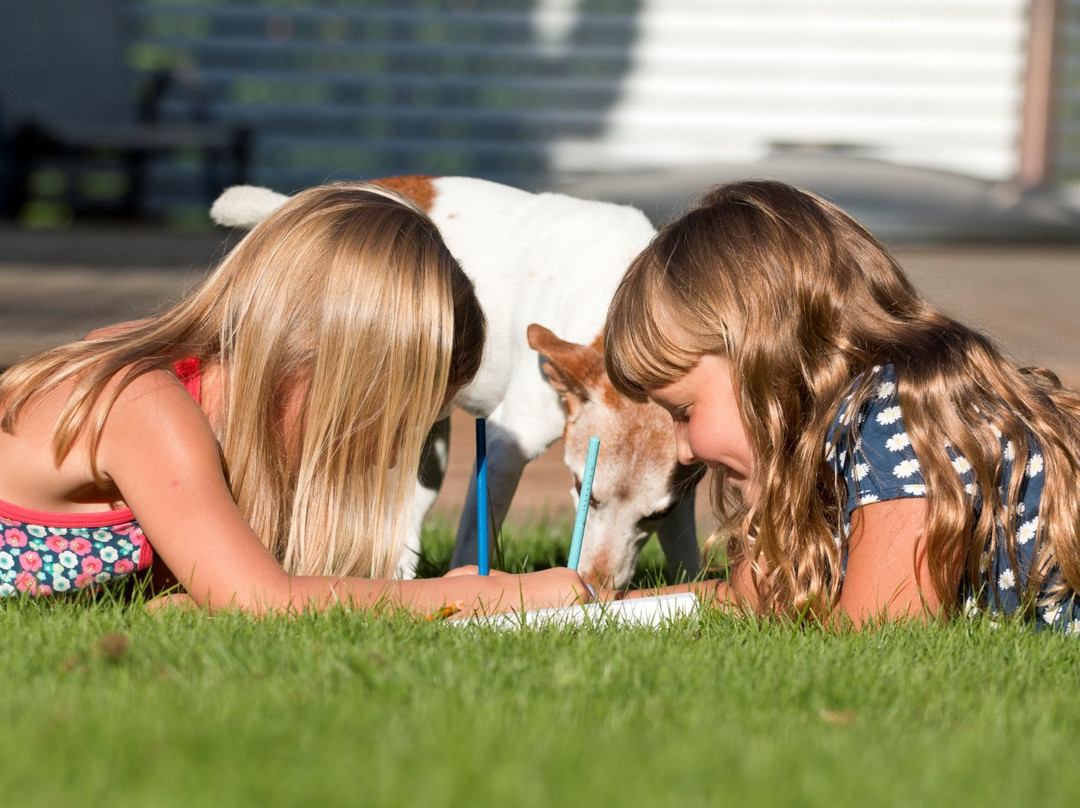Torsas Turistbyra-Bergkvara必去景点