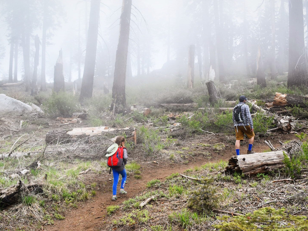 Buena Vista Peak Trail-红杉&国王峡谷国家公园必去景点