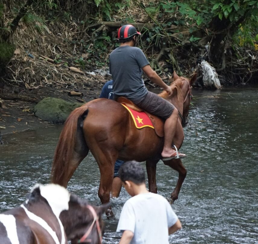 Bale Kuda Stable-Sleman District必去景点