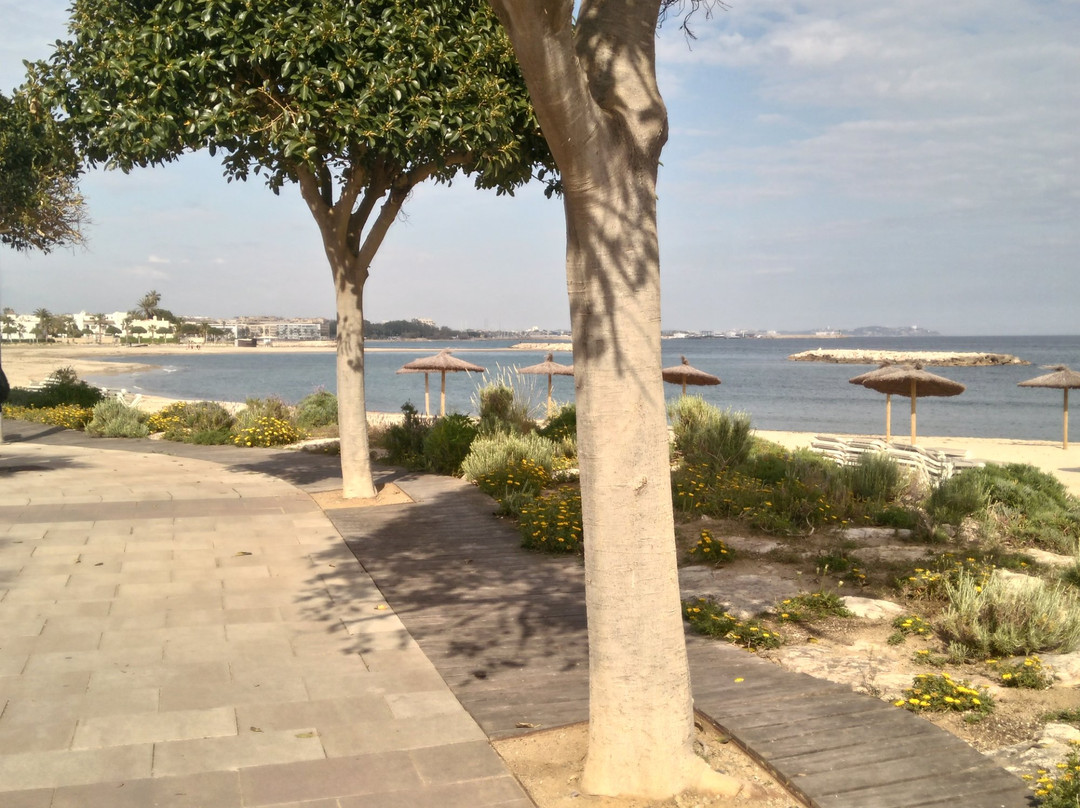 Passeig Maritim de Ponent景点图片