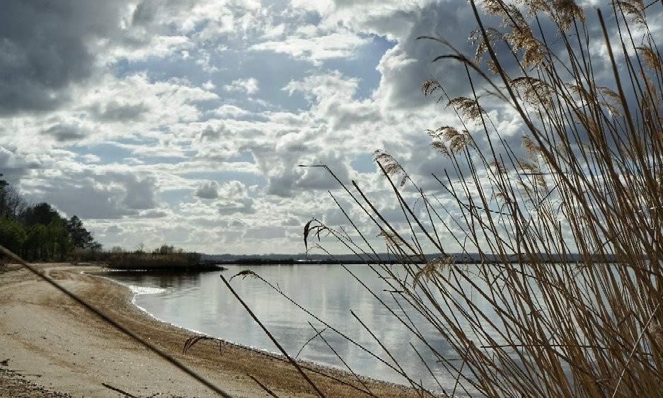 Hog Island Wildlife Management Area-Surry必去景点