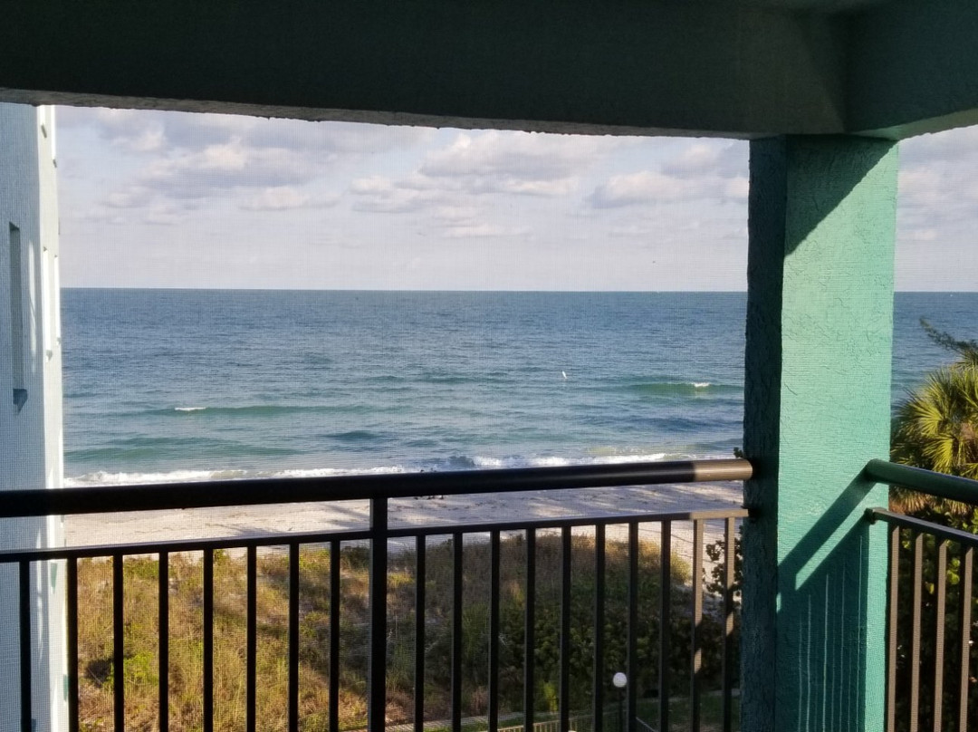 Cameron Cove