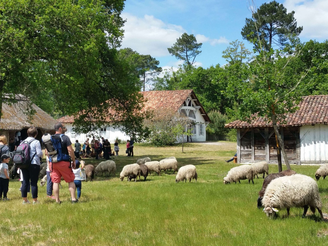 Écomusée De Marquèze-Sabres必去景点