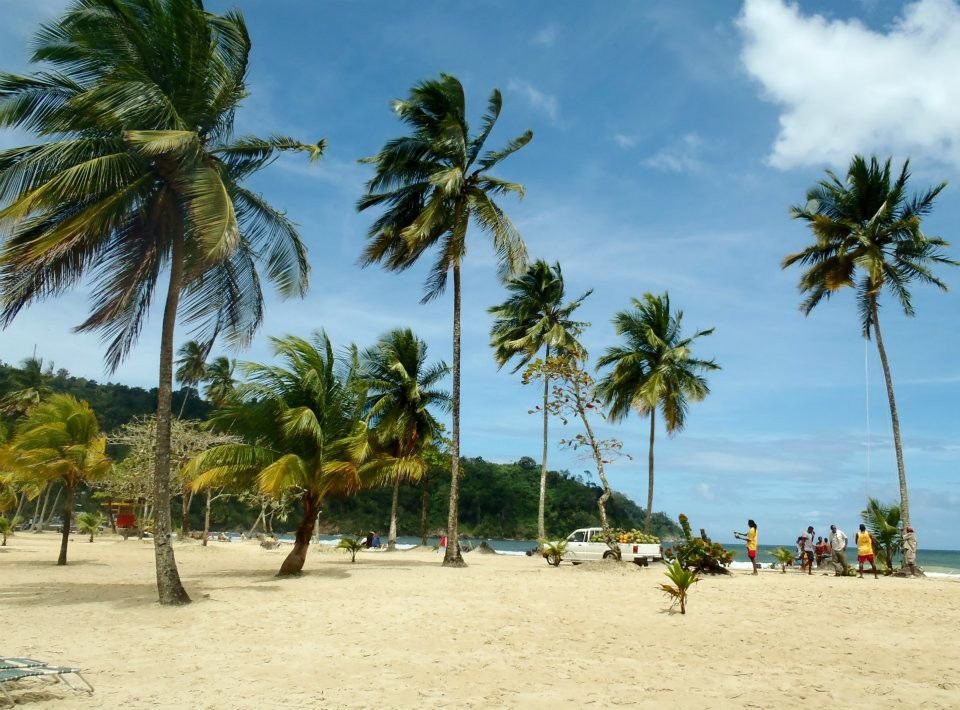 Island Experiences - Eco-Cultural Tours & Yacht Charters-西班牙港必去景点