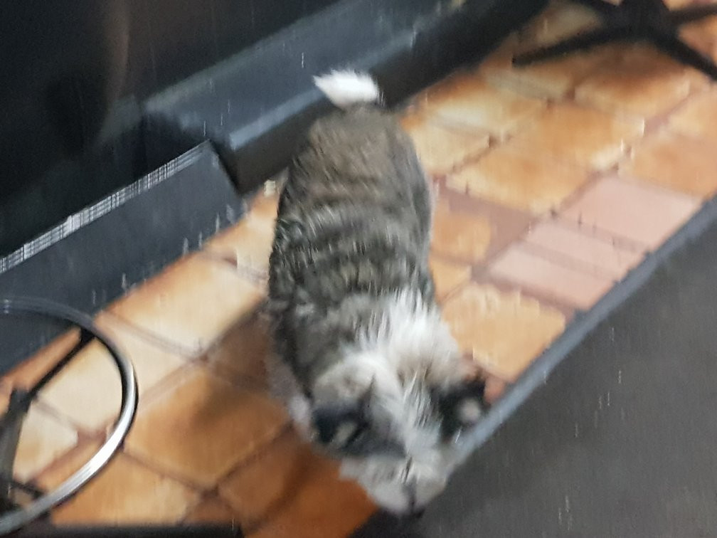 Union Hotel Heathcote主图