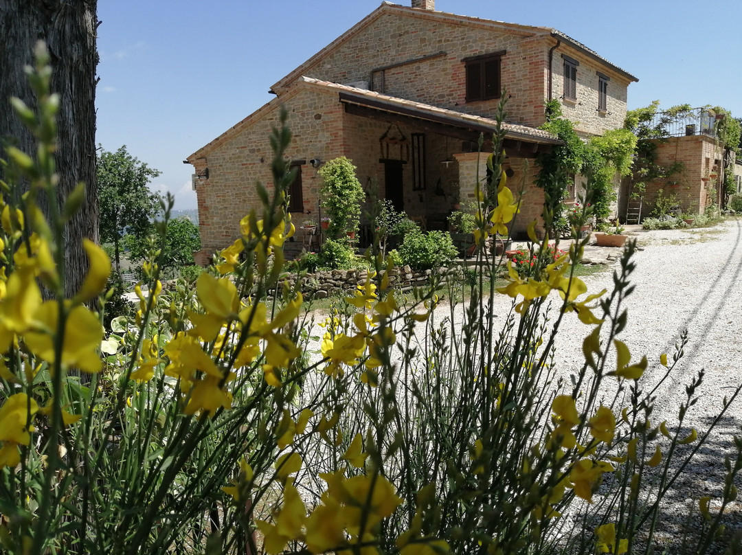 Casale San Martino Agriturismo Bio