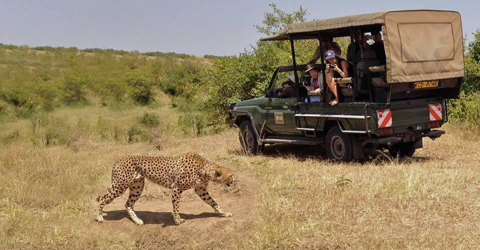 Mervin Safari Tours-蒙巴萨必去景点