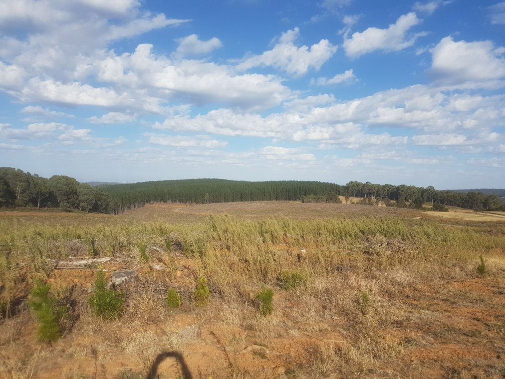 Mount Stanley Look Out-Stanley必去景点