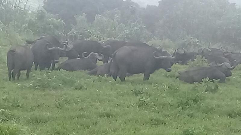 EpicTanzania Safaris-阿鲁沙必去景点