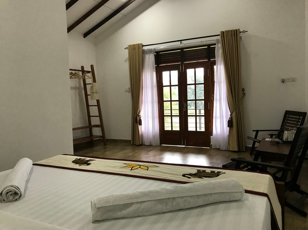 Into The Wild Sigiriya主图