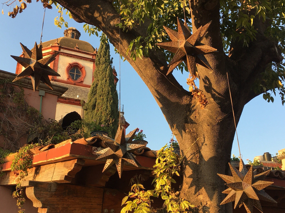 Casa Rosada Hotel主图